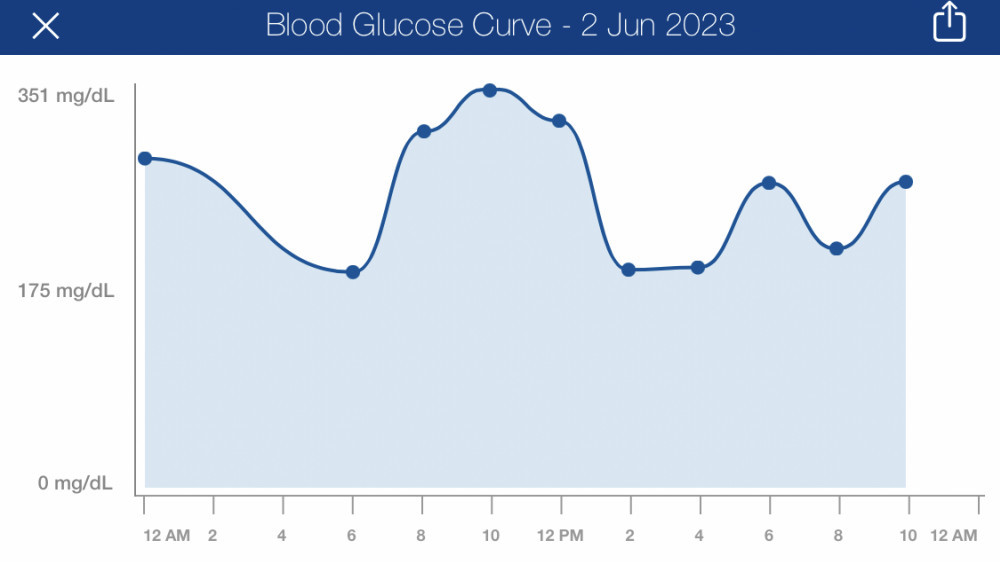 Brady's June 2023 Glucose curve