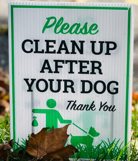 Please clean up after your dog sign stuck in dog poop