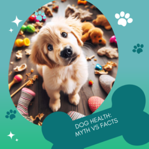 Dog Health Myth Vs Facts