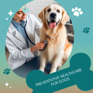 Preventative Healthcare for Dogs Vet with Dog