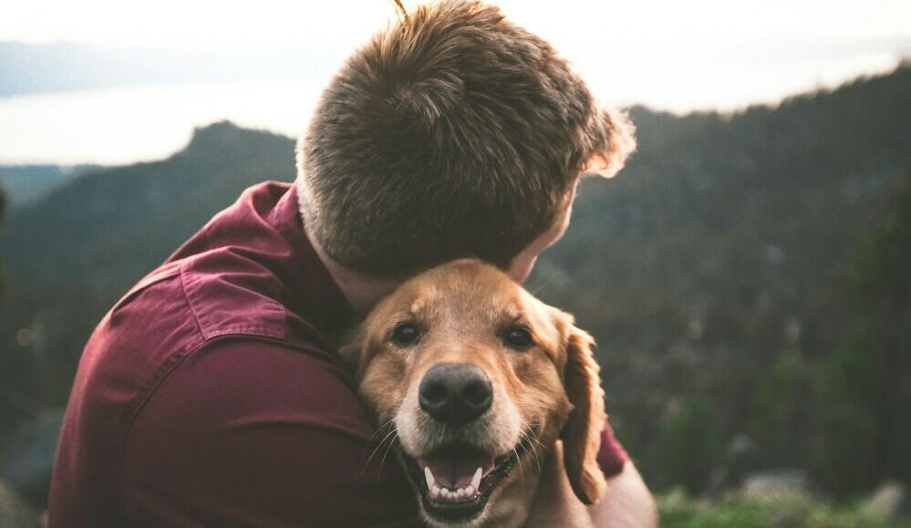 Boy hugging dog