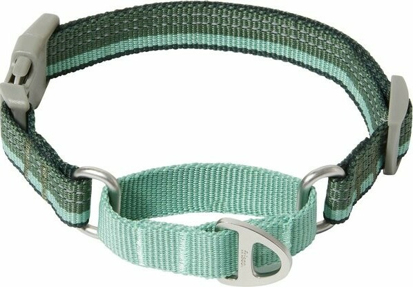 Martingale dog collar