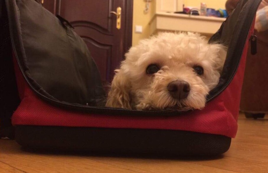Brady getting ready to leave Ukraine